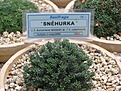 Нажмите на изображение для увеличения.

Название:	P6300168.JPG
Просмотров:	321
Размер:	239.2 Кб
ID:	367491