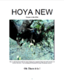 Нажмите на изображение для увеличения.

Название:	Hoya_new.png
Просмотров:	311
Размер:	134.3 Кб
ID:	367592