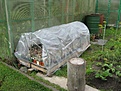 Нажмите на изображение для увеличения.

Название:	IMG_6989.JPG
Просмотров:	488
Размер:	347.0 Кб
ID:	368886