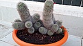 20170909_184137_500x281.jpg