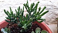 20170909_184158_500x281.jpg