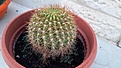 20170909_184115_500x281.jpg