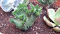 20170909_184311_500x281.jpg