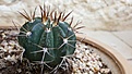 20170912_103931_500x281.jpg