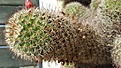 20170912_104210_1_500x281.jpg