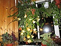 Нажмите на изображение для увеличения.

Название:	IMG_4286 (915x686).jpg
Просмотров:	396
Размер:	498.3 Кб
ID:	369777