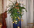Нажмите на изображение для увеличения.

Название:	IMG_4274 (1000x830).jpg
Просмотров:	380
Размер:	499.7 Кб
ID:	369778
