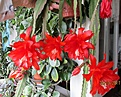 Нажмите на изображение для увеличения.

Название:	IMG_4809 (1000x801).jpg
Просмотров:	379
Размер:	495.2 Кб
ID:	370035