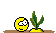 Нажмите на изображение для увеличения.

Название:	cactusIV.gif
Просмотров:	477
Размер:	9.9 Кб
ID:	370317