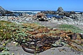 Нажмите на изображение для увеличения.

Название:	8_Playa-Tanume.jpg
Просмотров:	268
Размер:	177.1 Кб
ID:	370335