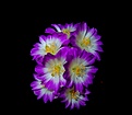 Нажмите на изображение для увеличения.

Название:	IMGP0491.JPG
Просмотров:	211
Размер:	269.8 Кб
ID:	370343