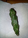 Yd86fKmf13M111.jpg