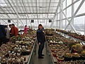 Нажмите на изображение для увеличения.

Название:	IMG_5175 (1000x750).jpg
Просмотров:	260
Размер:	487.6 Кб
ID:	370480