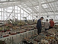 Нажмите на изображение для увеличения.

Название:	IMG_5173 (1000x750).jpg
Просмотров:	255
Размер:	429.5 Кб
ID:	370499
