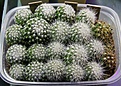 Нажмите на изображение для увеличения.

Название:	IMG_4513.jpg
Просмотров:	217
Размер:	296.5 Кб
ID:	370693