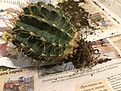 Нажмите на изображение для увеличения.

Название:	_1_1.jpg
Просмотров:	327
Размер:	221.1 Кб
ID:	370947