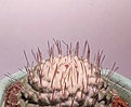 Нажмите на изображение для увеличения.

Название:	20180304_205315.jpg
Просмотров:	8533
Размер:	81.8 Кб
ID:	371316