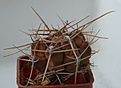 Нажмите на изображение для увеличения.

Название:	DSC00565_1.jpg
Просмотров:	840
Размер:	288.7 Кб
ID:	371626