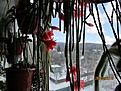 Нажмите на изображение для увеличения.

Название:	IMG_7509 (860x645).jpg
Просмотров:	460
Размер:	384.3 Кб
ID:	371667
