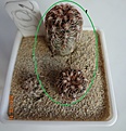 Нажмите на изображение для увеличения.

Название:	50.2 Gymnocalycium bruchii ssp. shimadae GN 531, 13-15мм 110.JPG
Просмотров:	621
Размер:	184.7 Кб
ID:	371721