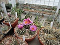 Нажмите на изображение для увеличения.

Название:	IMG_7586 (900x675).jpg
Просмотров:	426
Размер:	465.9 Кб
ID:	372027