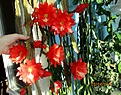 Нажмите на изображение для увеличения.

Название:	IMG_7963 (930x728).jpg
Просмотров:	418
Размер:	463.8 Кб
ID:	372516