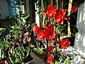 Нажмите на изображение для увеличения.

Название:	IMG_7961 (930x698).jpg
Просмотров:	408
Размер:	491.9 Кб
ID:	372517