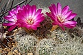 Нажмите на изображение для увеличения.

Название:	DSC01644.JPG
Просмотров:	167
Размер:	199.4 Кб
ID:	373123