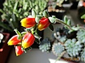 Нажмите на изображение для увеличения.

Название:	IMG_8628 (1000x743).jpg
Просмотров:	485
Размер:	339.7 Кб
ID:	373568