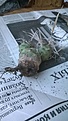 Нажмите на изображение для увеличения.

Название:	WP_20180609_004-min.jpg
Просмотров:	332
Размер:	196.3 Кб
ID:	373594