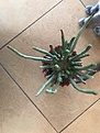 Нажмите на изображение для увеличения.

Название:	1.JPG
Просмотров:	227
Размер:	57.3 Кб
ID:	375267