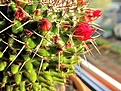 Нажмите на изображение для увеличения.

Название:	IMG_6683_25.jpg
Просмотров:	342
Размер:	412.2 Кб
ID:	375301