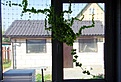 Нажмите на изображение для увеличения.

Название:	IMGP5259.JPG
Просмотров:	567
Размер:	438.7 Кб
ID:	375401