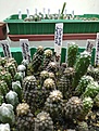 Нажмите на изображение для увеличения.

Название:	IMG_20181011_210524.jpg
Просмотров:	647
Размер:	308.6 Кб
ID:	376202