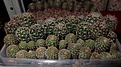 Нажмите на изображение для увеличения.

Название:	IMGP5671.JPG
Просмотров:	438
Размер:	309.4 Кб
ID:	376228