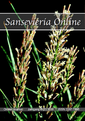 Нажмите на изображение для увеличения.

Название:	SansevieriaOnline.png
Просмотров:	544
Размер:	174.8 Кб
ID:	376592