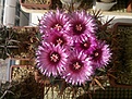 Нажмите на изображение для увеличения.

Название:	30102012463.jpg
Просмотров:	388
Размер:	115.6 Кб
ID:	376889