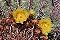 Нажмите на изображение для увеличения.

Название:	IMG_3854.jpg
Просмотров:	468
Размер:	174.9 Кб
ID:	376992