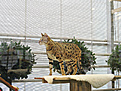 Нажмите на изображение для увеличения.

Название:	IMG_8181.jpg
Просмотров:	416
Размер:	332.2 Кб
ID:	377437