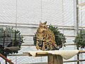 Нажмите на изображение для увеличения.

Название:	IMG_8182.jpg
Просмотров:	414
Размер:	322.4 Кб
ID:	377438