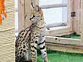 Нажмите на изображение для увеличения.

Название:	IMG_8179.jpg
Просмотров:	413
Размер:	307.1 Кб
ID:	377443