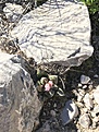 Нажмите на изображение для увеличения.

Название:	93D0437E-72B2-42B0-8D86-47E96C3CFEDD.jpeg
Просмотров:	571
Размер:	449.1 Кб
ID:	377600