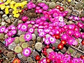 Нажмите на изображение для увеличения.

Название:	IMG_1829.jpg
Просмотров:	818
Размер:	140.8 Кб
ID:	378166