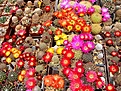 Нажмите на изображение для увеличения.

Название:	IMG_1830.jpg
Просмотров:	811
Размер:	143.2 Кб
ID:	378167