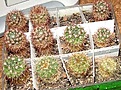 Нажмите на изображение для увеличения.

Название:	DSC05085.jpg
Просмотров:	553
Размер:	24.6 Кб
ID:	378360