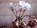 Нажмите на изображение для увеличения.

Название:	DSC01025.JPG
Просмотров:	257
Размер:	33.1 Кб
ID:	378412