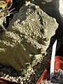 Нажмите на изображение для увеличения.

Название:	Pseudolithos_harardheranus_01_02_2006.JPG
Просмотров:	715
Размер:	63.1 Кб
ID:	379096