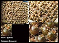 Нажмите на изображение для увеличения.

Название:	050512_18w.jpg
Просмотров:	259
Размер:	80.7 Кб
ID:	379222