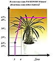 Нажмите на изображение для увеличения.

Название:	PACHYPODIUM lameri 01.JPG
Просмотров:	246
Размер:	49.1 Кб
ID:	379473