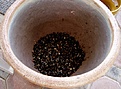 Нажмите на изображение для увеличения.

Название:	planting02.jpg
Просмотров:	280
Размер:	87.1 Кб
ID:	379578